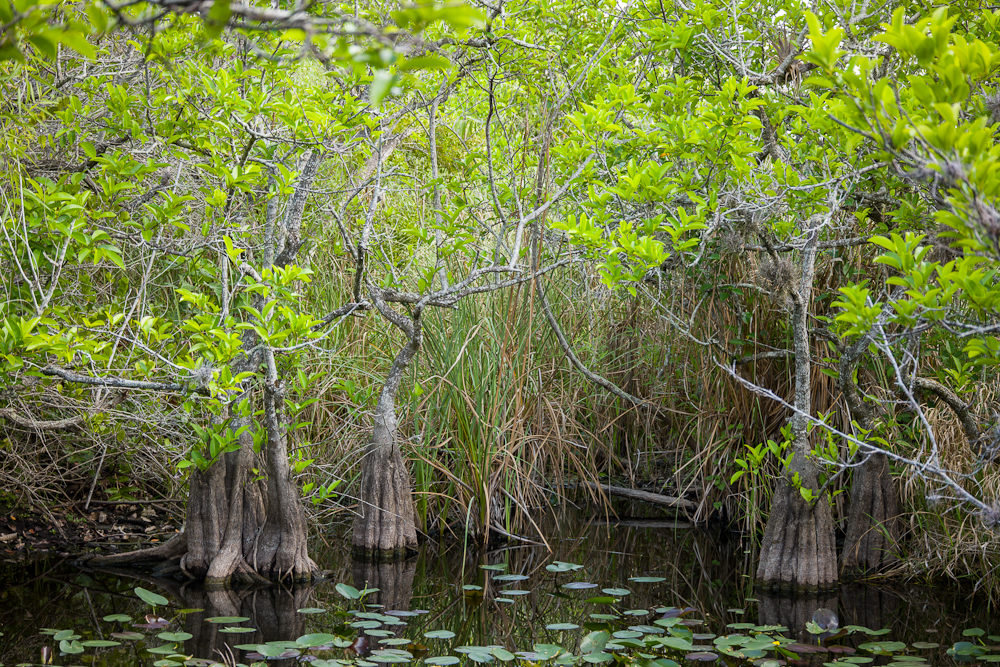 florida